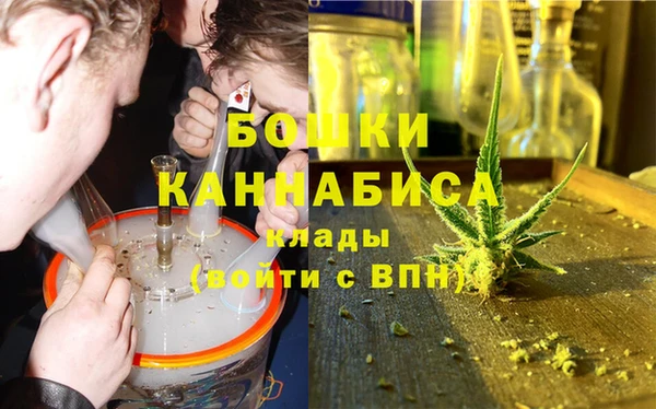 индика Абаза