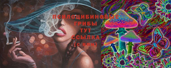 индика Абаза