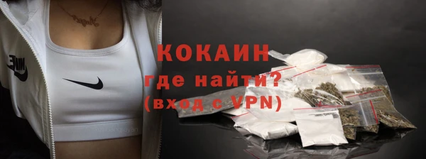 индика Абаза