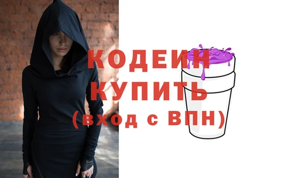 индика Абаза