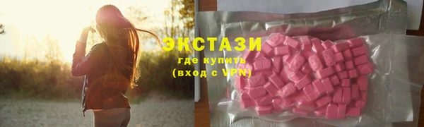 индика Абаза