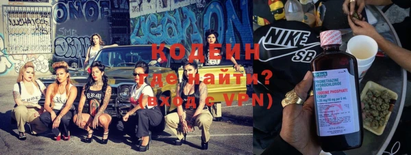 индика Абаза