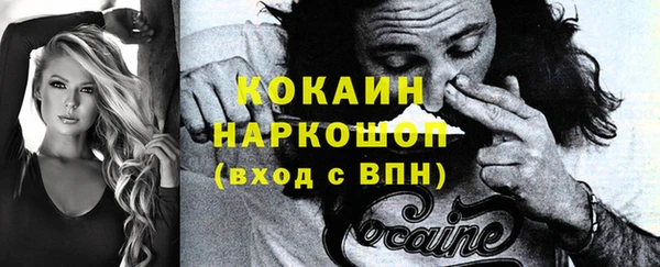 индика Абаза