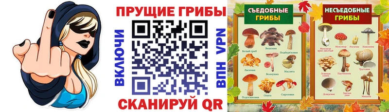 наркотики  Скопин  Псилоцибиновые грибы Magic Shrooms 